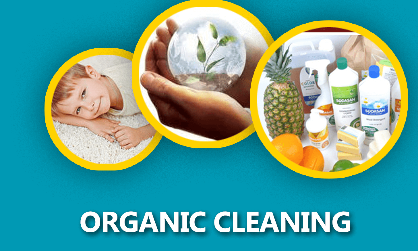 Organic Cleaning